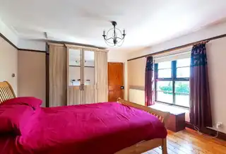 15 Randox RoadImage 8