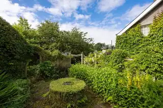 5 St. Patricks GardensImage 20