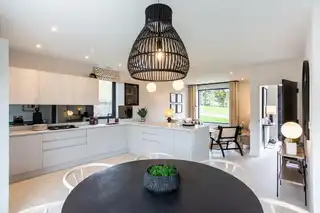Site 117 Mealough, Mealough RoadImage 4