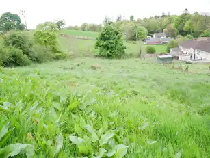 EdenmoreImage 7