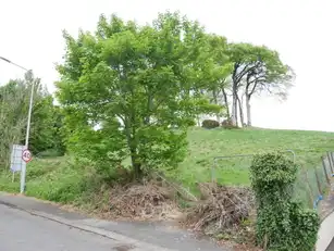 EdenmoreImage 5