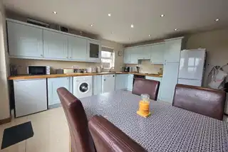 12 The FernsImage 8