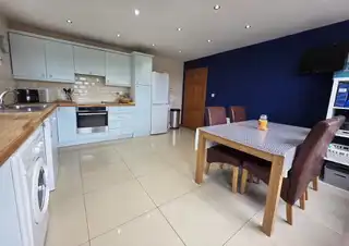 12 The FernsImage 11