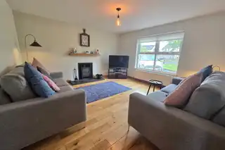 12 The FernsImage 5