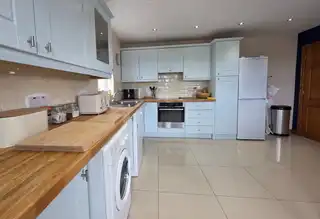 12 The FernsImage 10