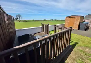 12 The FernsImage 26