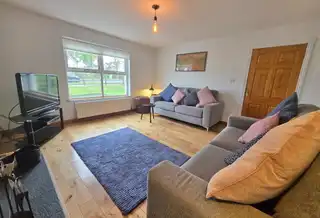 12 The FernsImage 6