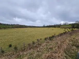 220/250M East Of 10 Glenlough RoadImage 6