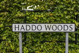 6 Haddo WoodsImage 39