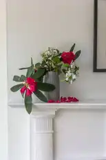 4 Balmoral GardensImage 34