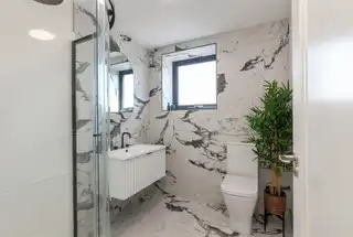 Apt 3 537A Lisburn RoadImage 18