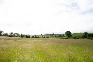 10.67 Acres Of Agricultural LandImage 5
