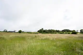10.67 Acres Of Agricultural LandImage 8