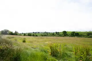 10.67 Acres Of Agricultural LandImage 3