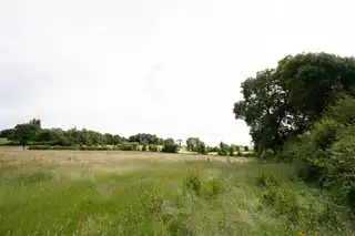 10.67 Acres Of Agricultural LandImage 9