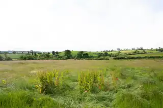 10.67 Acres Of Agricultural LandImage 4