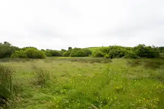 10.67 Acres Of Agricultural LandImage 7