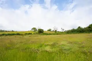 10.67 Acres Of Agricultural LandImage 6