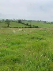 10.67 Acres Of Agricultural LandImage 3