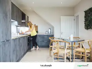 Site 103 MealoughImage 11