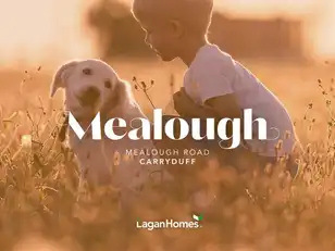 Site106 MealoughImage 4
