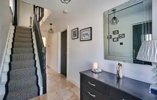 21 Viceroys WoodImage 4