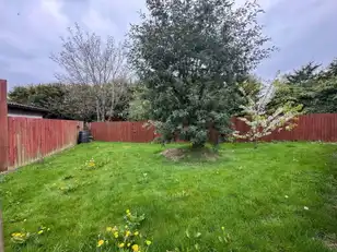 21 Rhanbuoy CloseImage 6