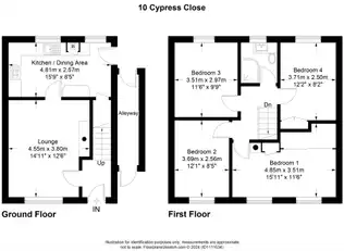 10 Cypress CloseImage 25