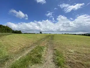 Agricultural Land And Sheds AtImage 9