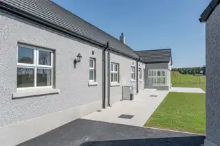 6 Beech TreesImage 36
