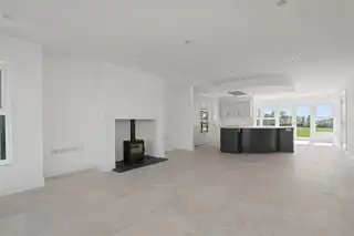 6 Beech TreesImage 17