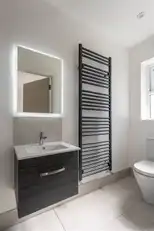 6 Beech TreesImage 26