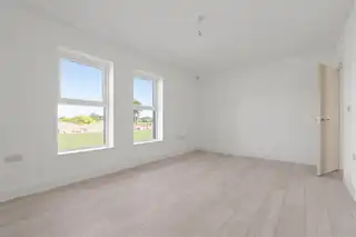 6 Beech TreesImage 27