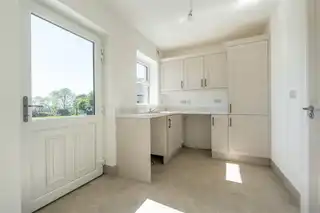 6 Beech TreesImage 18