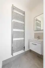 6 Beech TreesImage 20