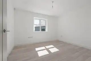 6 Beech TreesImage 29