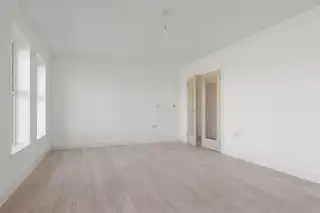 6 Beech TreesImage 8