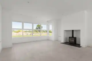 6 Beech TreesImage 9
