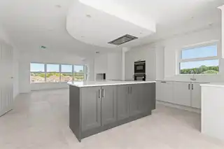6 Beech TreesImage 13