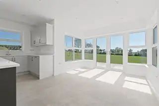 6 Beech TreesImage 15