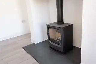 6 Beech TreesImage 7