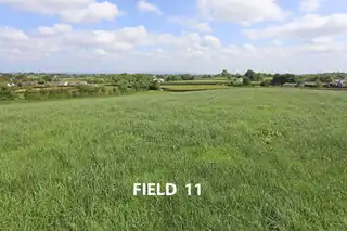 55 Craignageeragh RoadImage 19