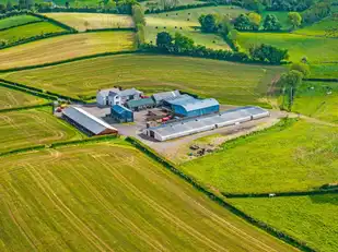 55 Craignageeragh RoadImage 25
