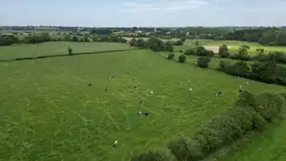69 Ballybreagh RoadImage 12