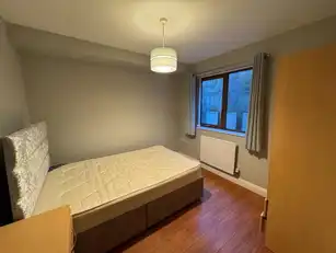 1 219 Saintfield RoadImage 3