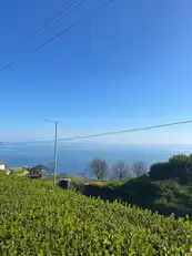 128 Glenarm RoadImage 17