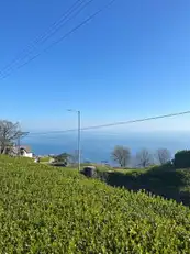 128 Glenarm RoadImage 18
