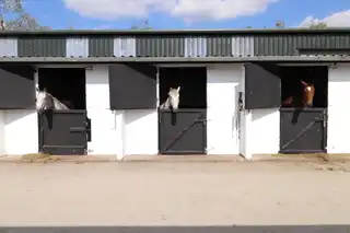 C.10 Ac & 27 Stables, Drumralla StablesImage 45