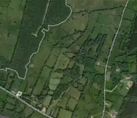 Aerial - 10acres Lough Shore Road.PNG