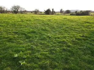 Park Road ( Residential Holding)Image 6